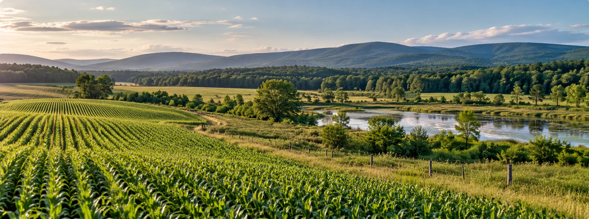 Landowners
