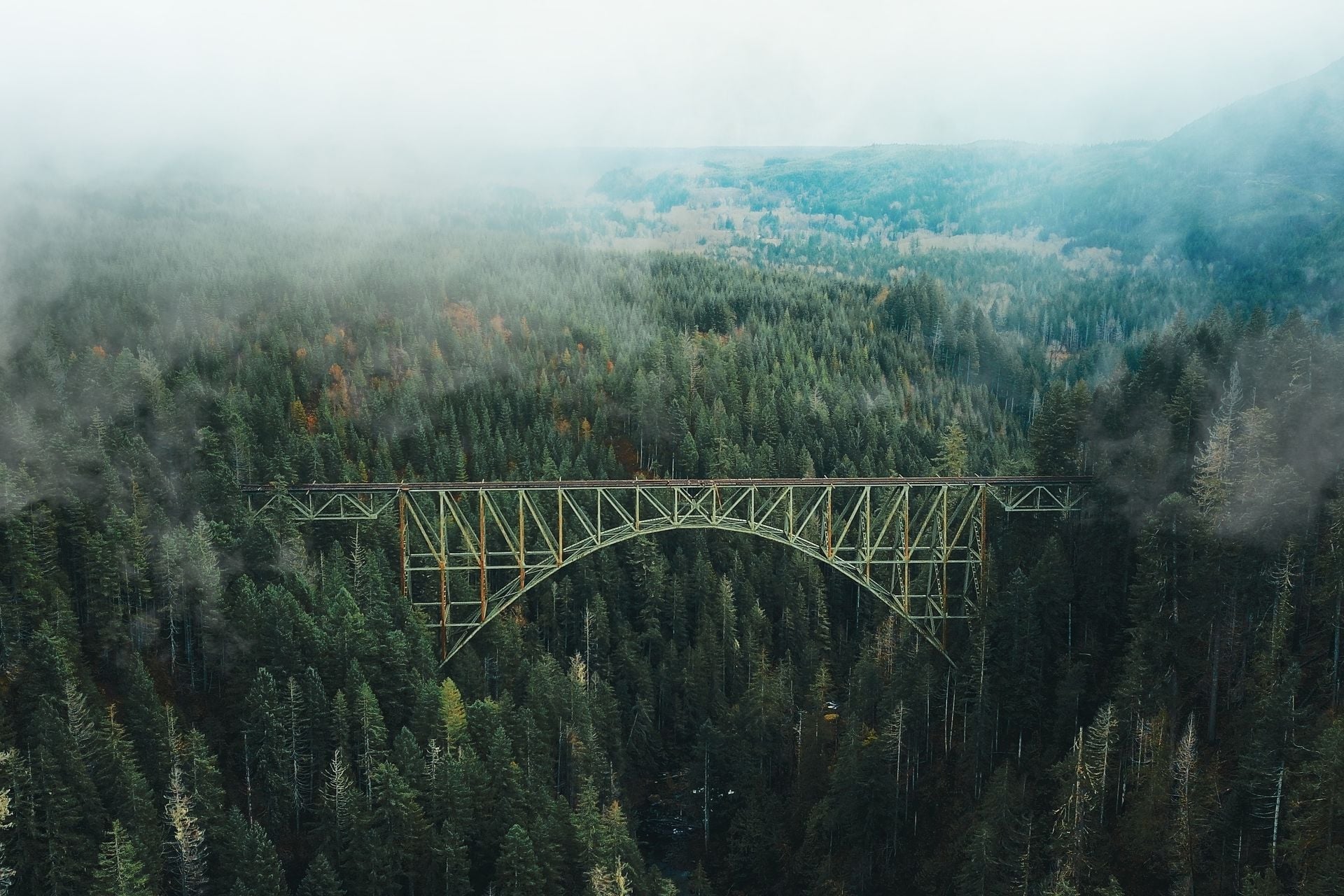 Future of environmental markets and natural capital